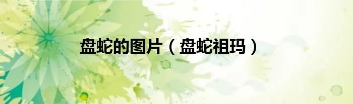 盘蛇的图片（盘蛇祖玛）