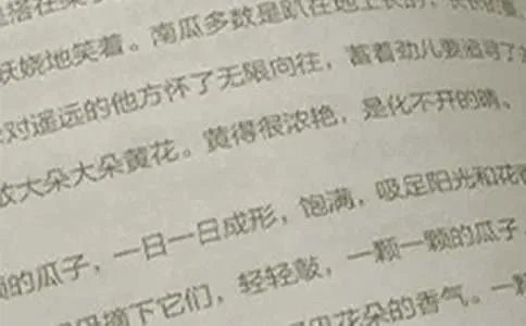 一年级上册的语文期末试卷