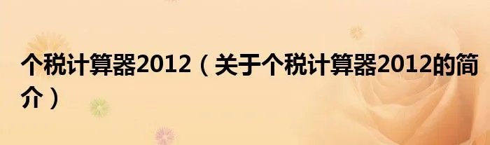 个税计算器2012（关于个税计算器2012的简介）