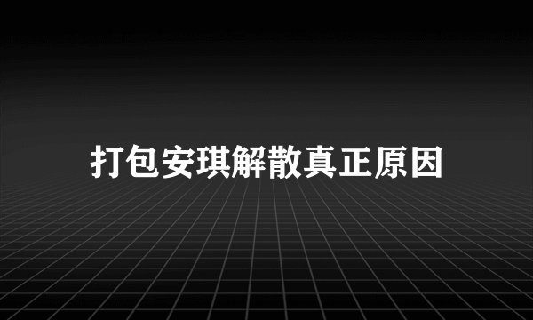 打包安琪解散真正原因
