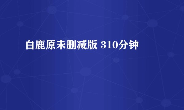白鹿原未删减版 310分钟