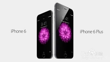 ip6什么时候上市