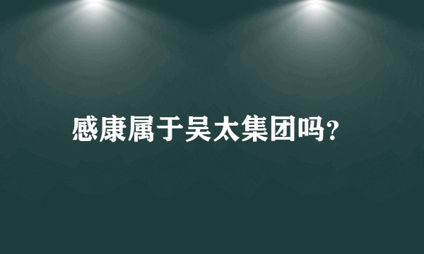 感康属于吴太集团吗？