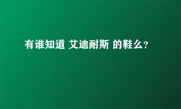 有谁知道 艾迪耐斯 的鞋么？