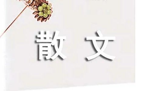 哑孝子散文