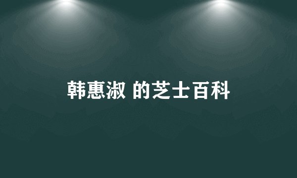 韩惠淑 的芝士百科