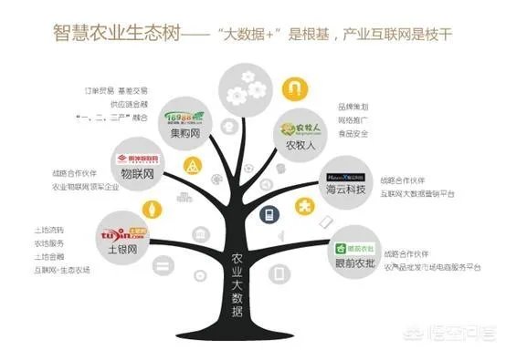 2018年生猪价格行情走势如何?