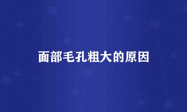面部毛孔粗大的原因