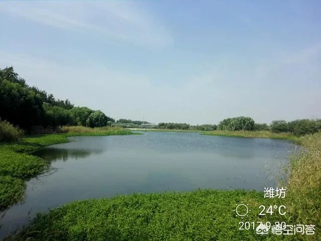 潍坊湿地公园在哪里?有多大?