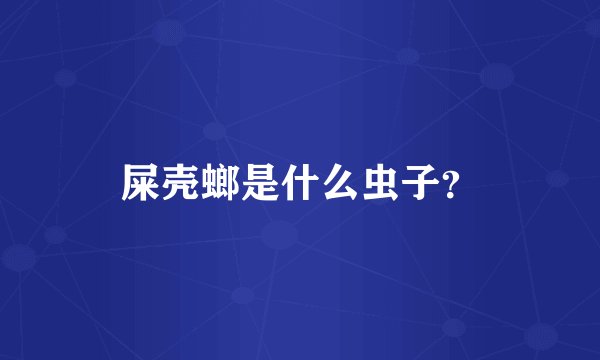 屎壳螂是什么虫子？