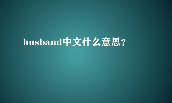 husband中文什么意思?