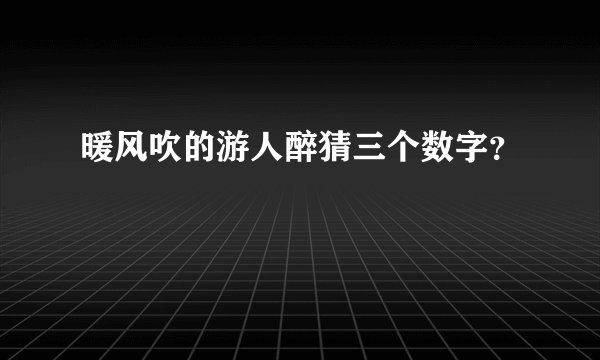 暖风吹的游人醉猜三个数字？