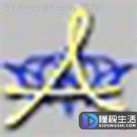 pat是什么