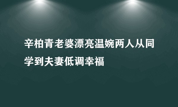 辛柏青老婆漂亮温婉两人从同学到夫妻低调幸福
