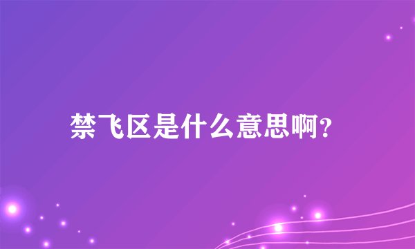 禁飞区是什么意思啊？