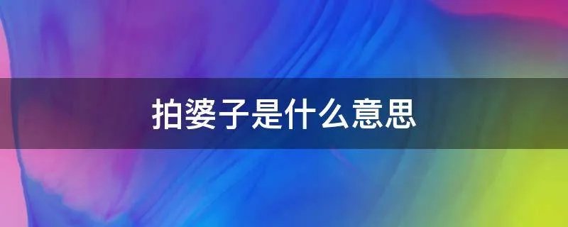 拍婆子是什么意思