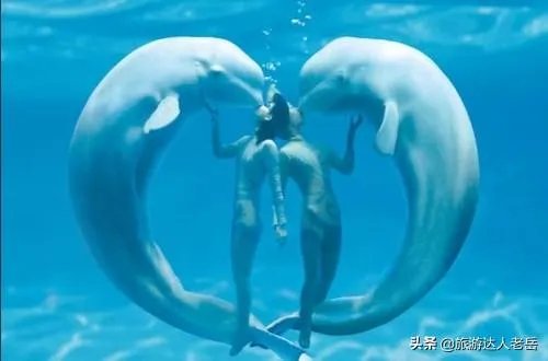 哈尔滨最好玩的景区在哪里?为什么?