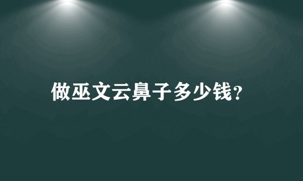 做巫文云鼻子多少钱？