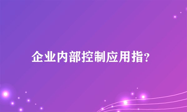 企业内部控制应用指？