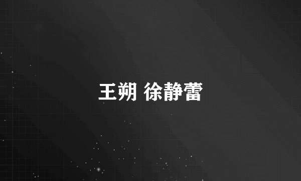 王朔 徐静蕾