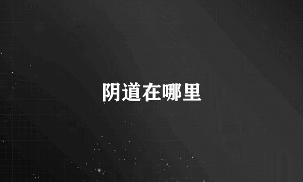 阴道在哪里