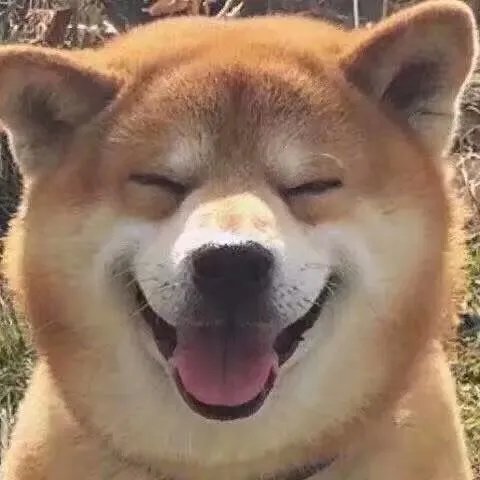 山西省灵石县怎么样,值得一去么?