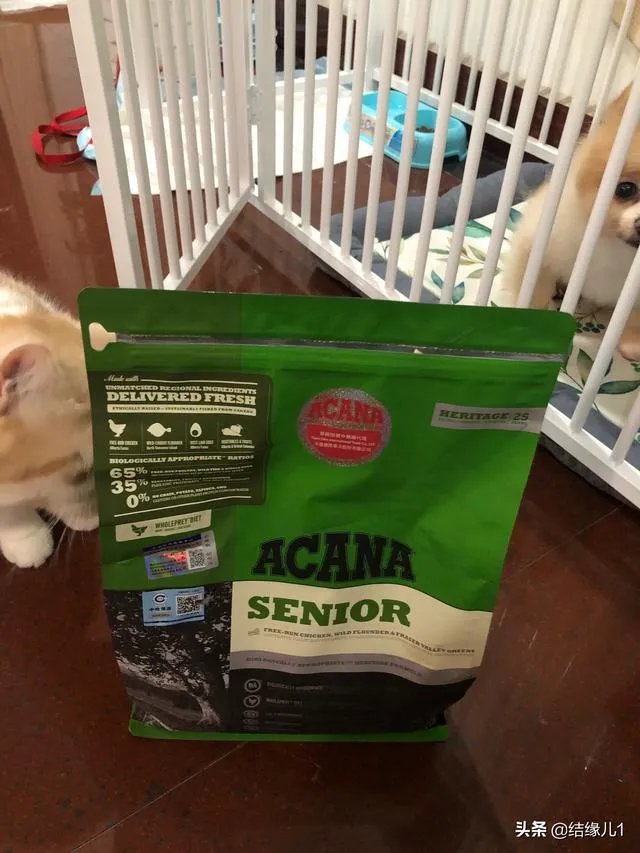 有没有比较好的猫粮推荐一下?