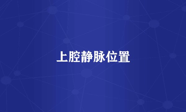 上腔静脉位置