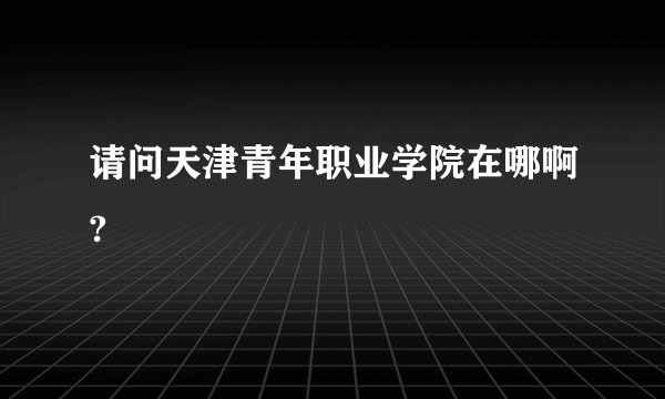 请问天津青年职业学院在哪啊?