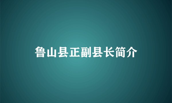 鲁山县正副县长简介