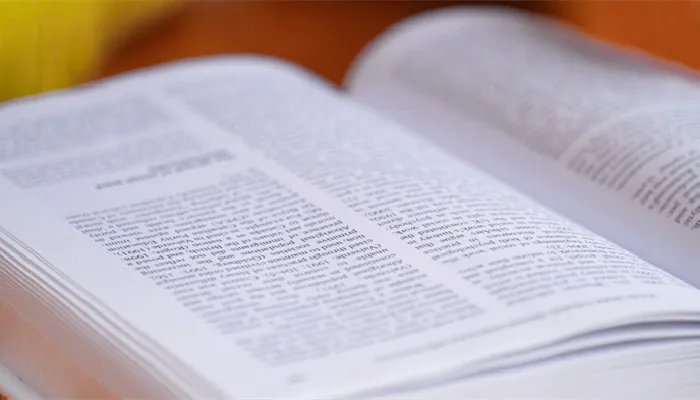 vocabulary可数吗
