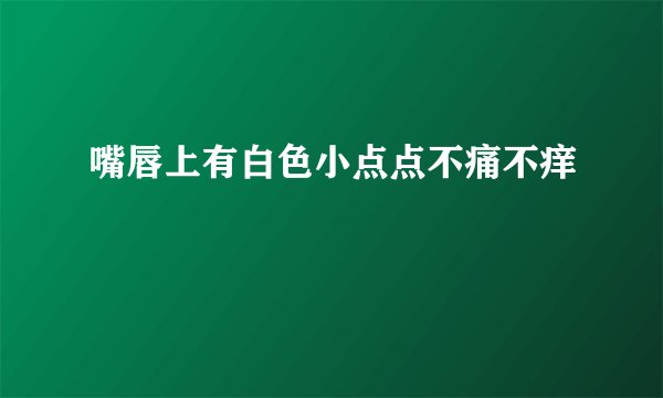 嘴唇上有白色小点点不痛不痒