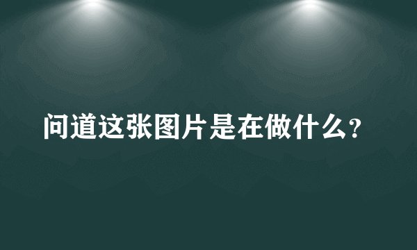 问道这张图片是在做什么？