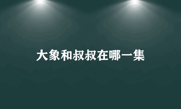 大象和叔叔在哪一集