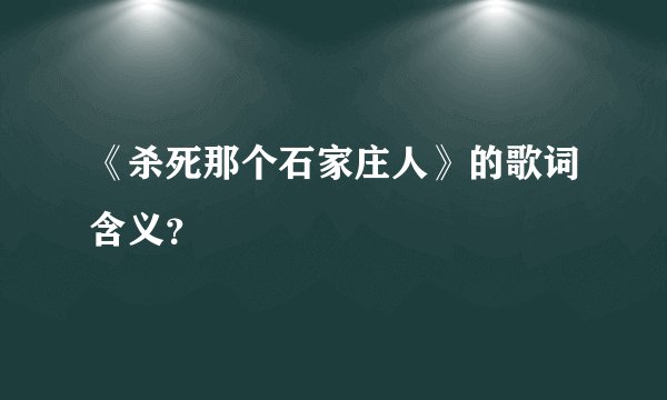 《杀死那个石家庄人》的歌词含义？