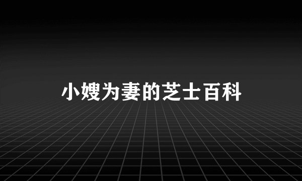 小嫂为妻的芝士百科
