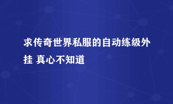 求传奇世界私服的自动练级外挂 真心不知道