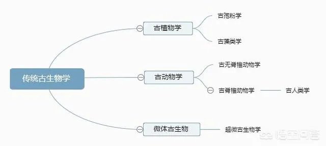 古生物学是怎样的专业?