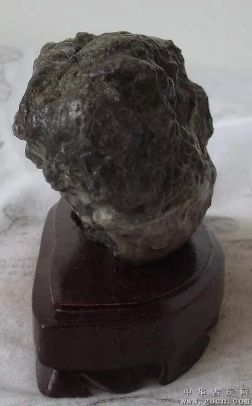 石果子的作用