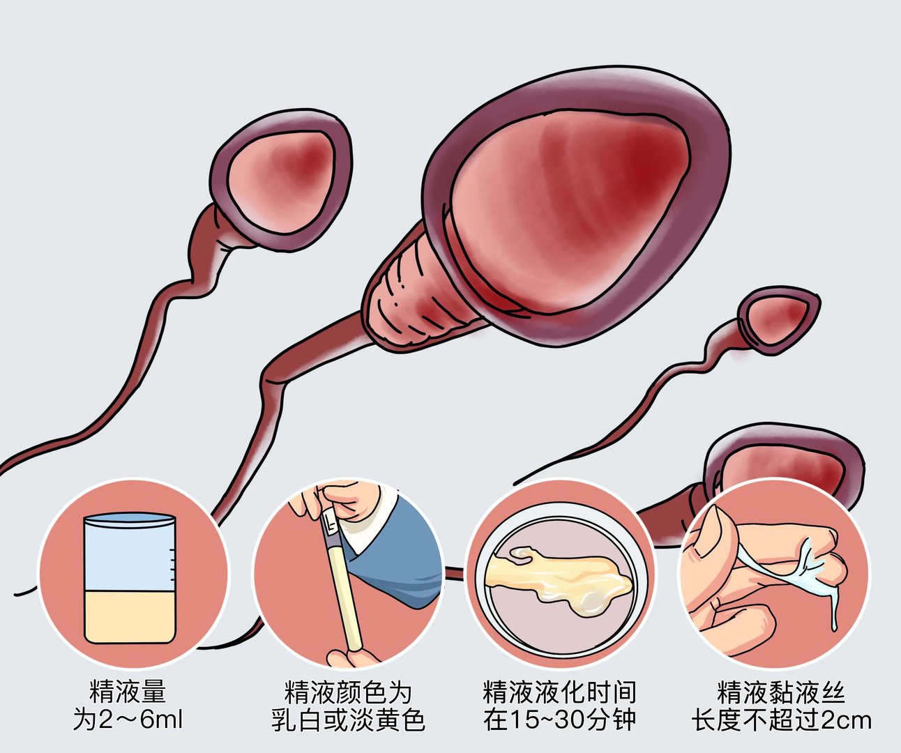 自己如何判断精子质量