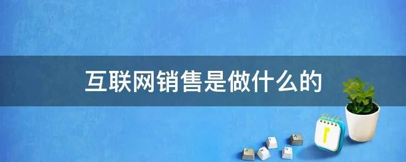 互联网销售是做什么的