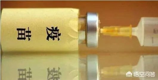 长生生物跌停价损失多少钱