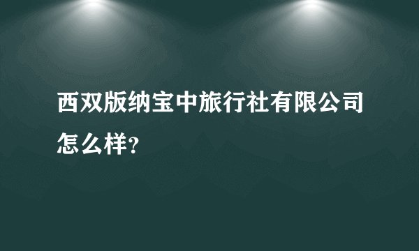 西双版纳宝中旅行社有限公司怎么样？