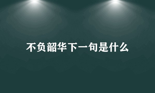 不负韶华下一句是什么