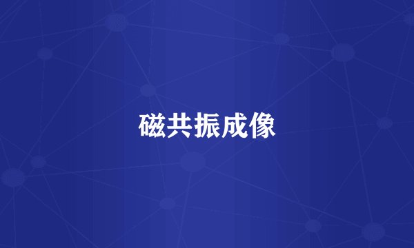 磁共振成像