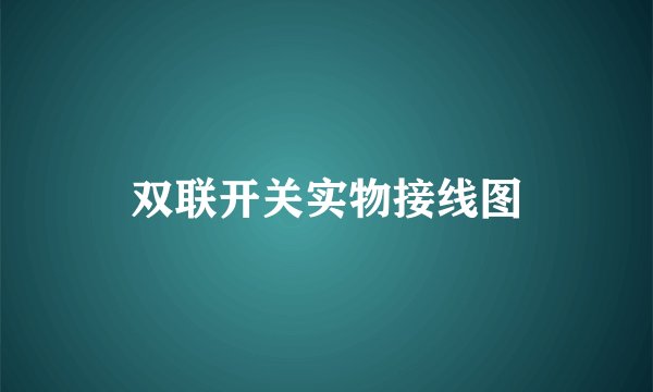 双联开关实物接线图