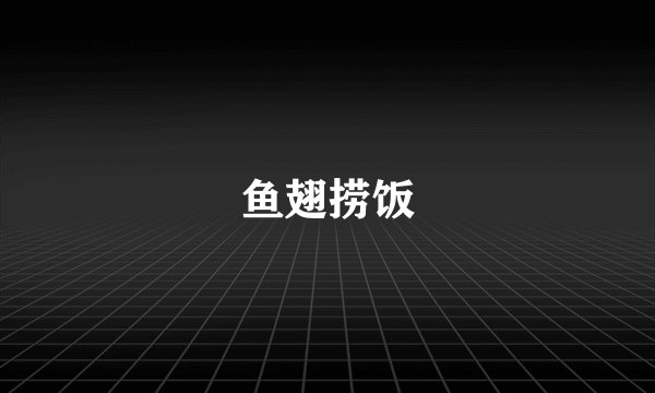 鱼翅捞饭