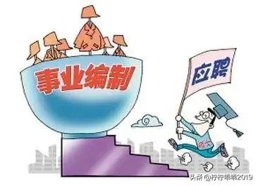 选聘什么意思?