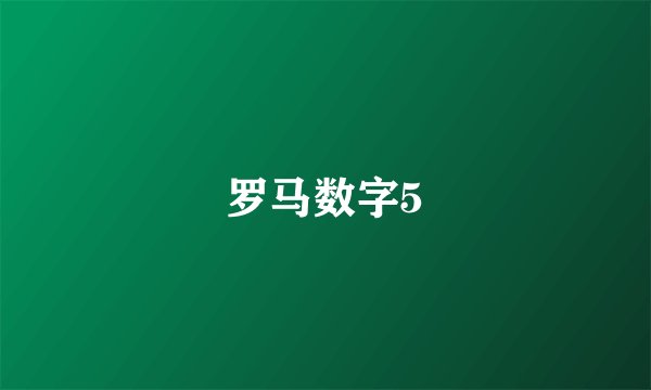 罗马数字5