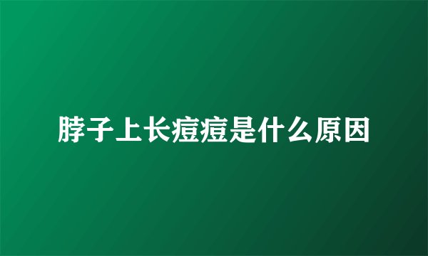 脖子上长痘痘是什么原因